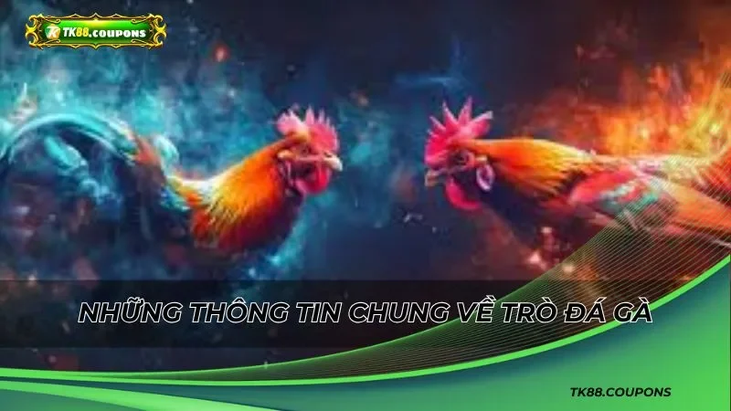 Những thông tin chung về trò đá gà bạn cần biết